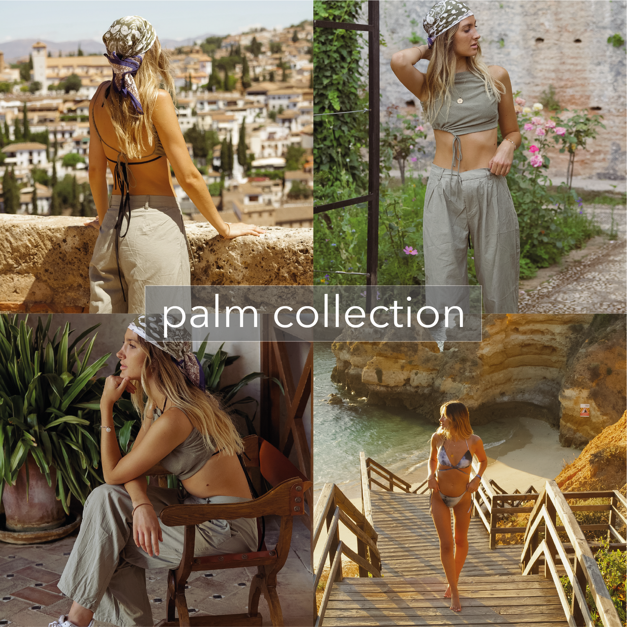 Palm Collection